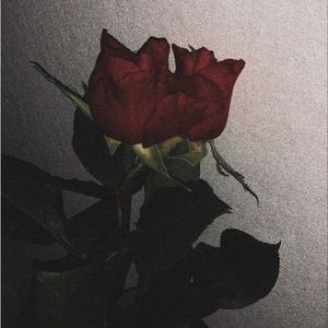 Meet your Posher, Raul